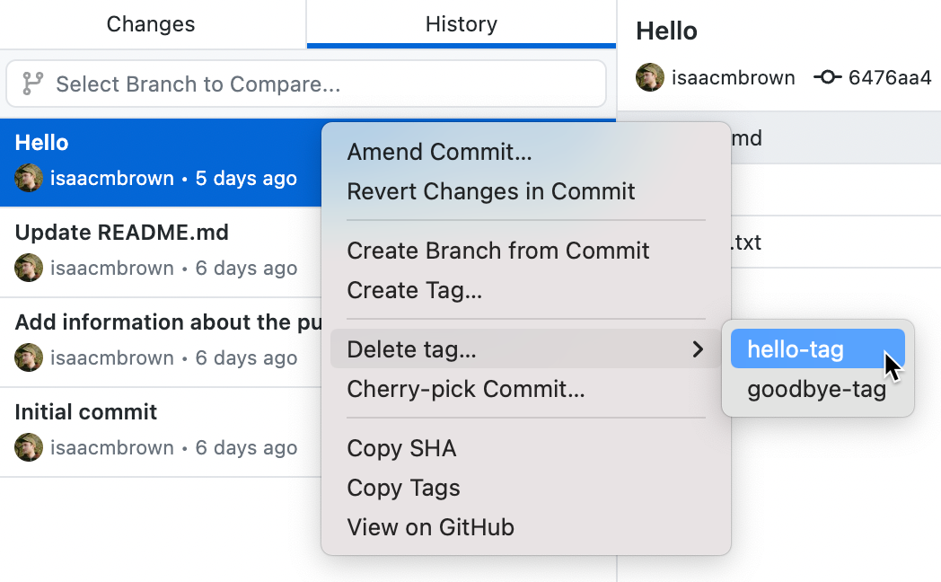Screenshot of a context menu in the "History" tab. Next to "Delete tag", a second menu is expanded, and the cursor hovers over an option labeled "hello-tag".