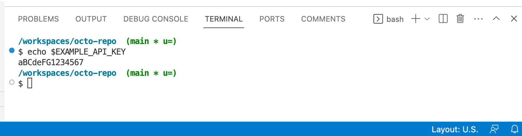 Capture d’écran du terminal dans VS Code. La commande « echo $EXAMPLE_API_KEY » retourne « aBCdeFG1234567 ».